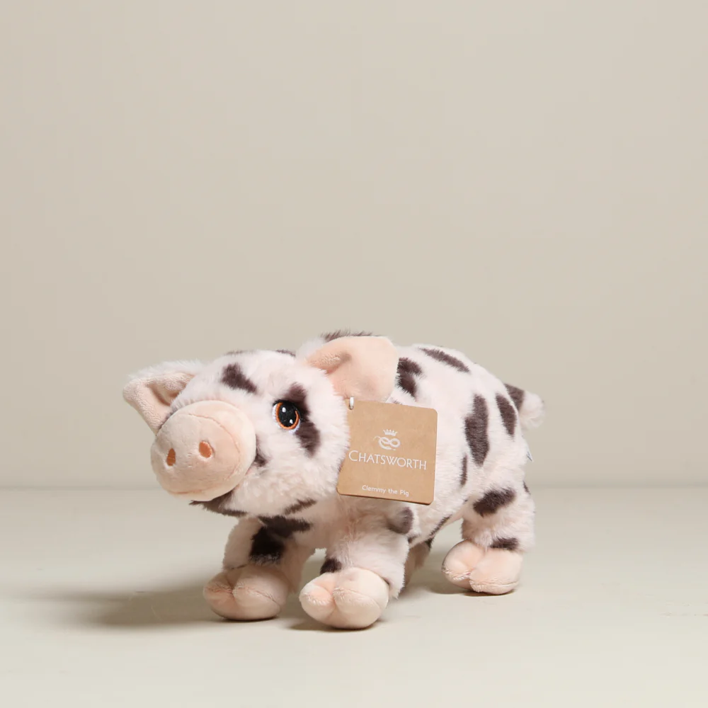 Clemmy the Pig Soft Toy - Image 2