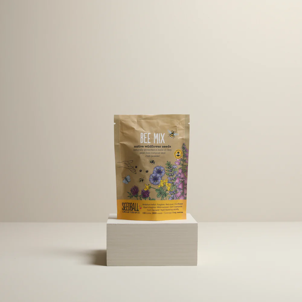 Wildflower Seed Balls - Bee Mix